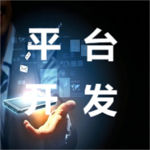 平臺(tái)開(kāi)發(fā)